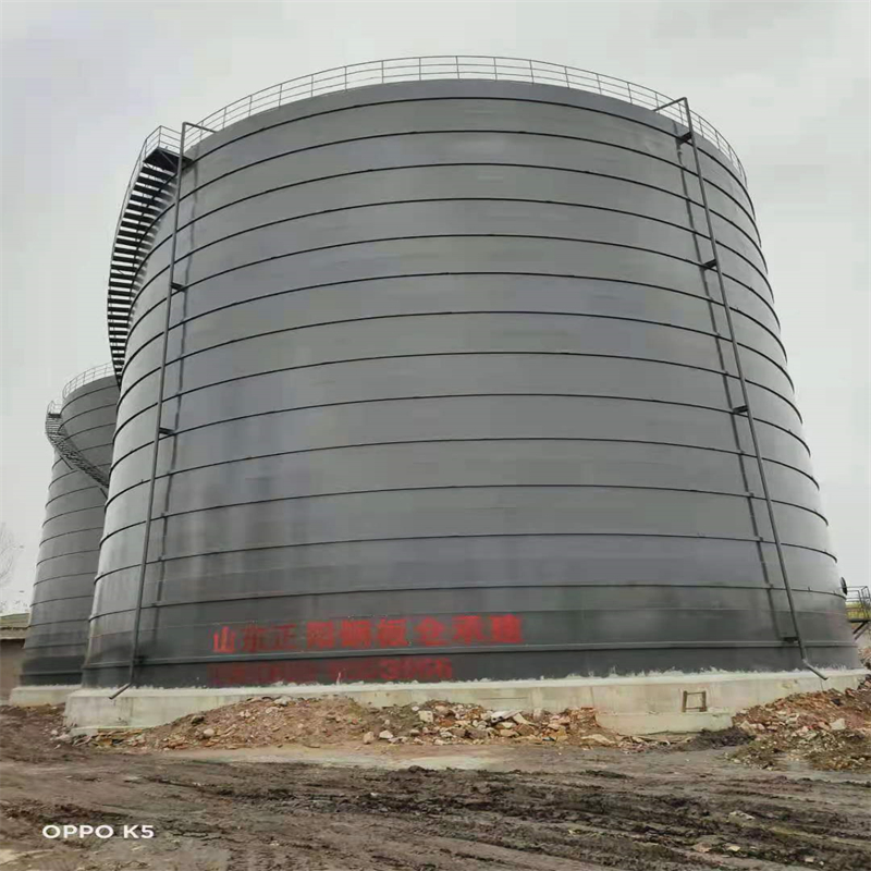 隆昌3万吨大型钢板库