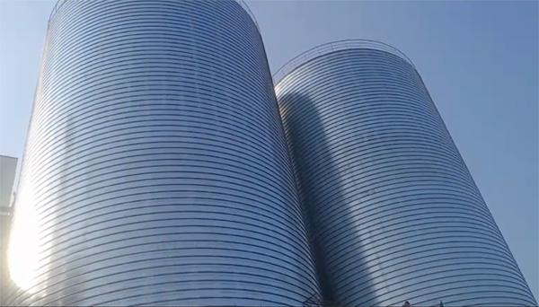 隆昌2座混凝土高架卷板仓